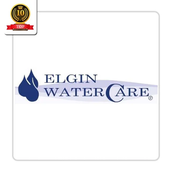 Elgin Water Care: Lamp Fixing Solutions in Ruskin