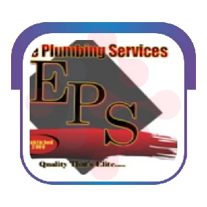 Elite Plumbing Services, Inc.: Preventing clogged drains long-term in Brownstown