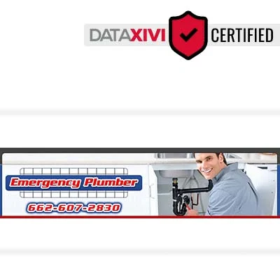 Emergency Plumber - DataXiVi