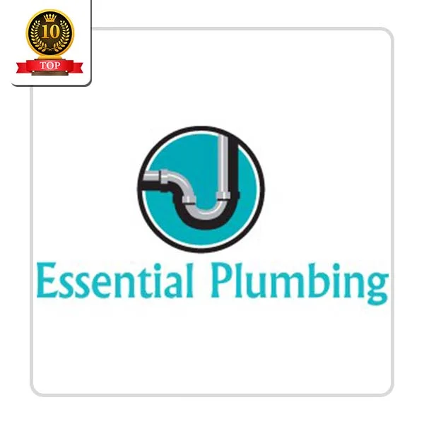 Essential Plumbing: Appliance Troubleshooting Services in Andes