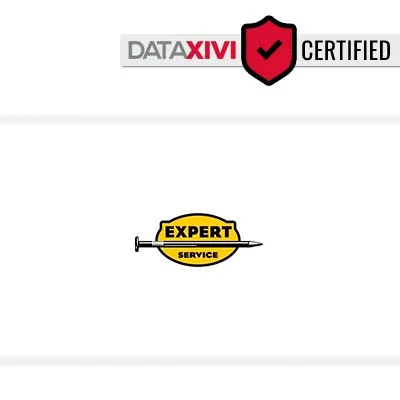 Expert Service Inc - DataXiVi