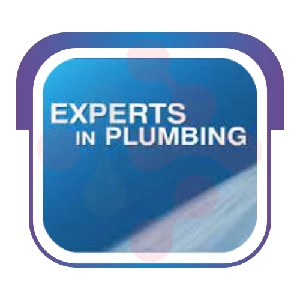 Expertsinplumbing: Reliable Water Filtration Repair in Clearlake Oaks