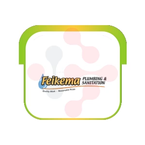 Feikema Plumbing & Sanitation: Expert Home Cleaning Services in Carrollton