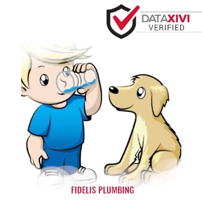 Fidelis Plumbing: Appliance Troubleshooting Services in Mount Carbon