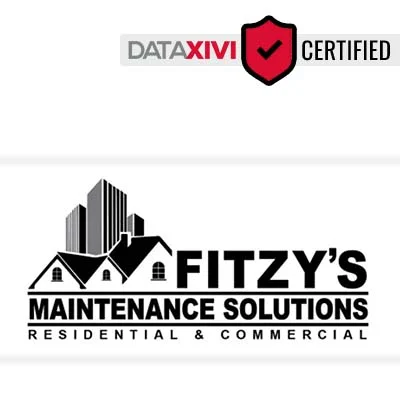 Fitzy maintenance solution - DataXiVi