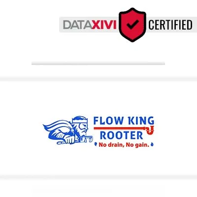 Flow King Rooter - DataXiVi