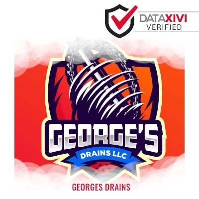 Georges Drains Plumber - DataXiVi