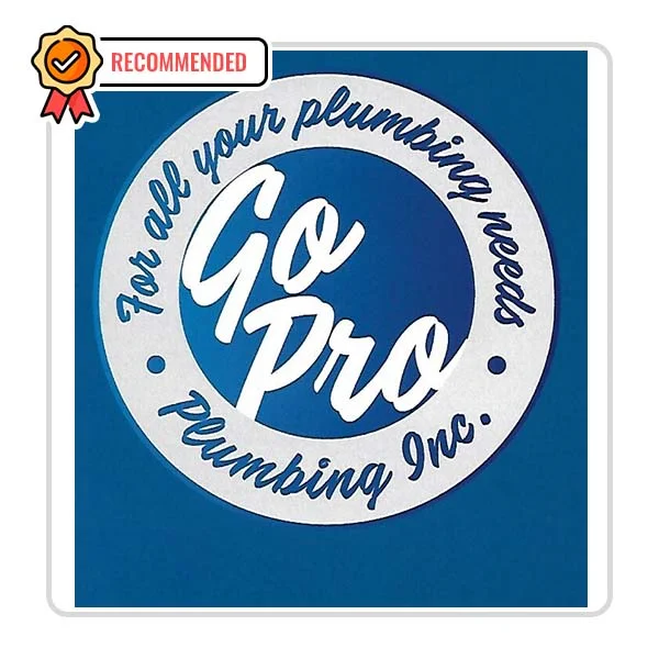 Go Pro Plumbing Inc.: On-Call Plumbers in Bluff