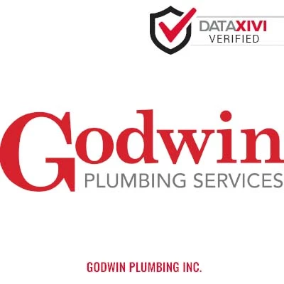 Godwin Plumbing Inc.: Professional Pump Installation and Repair in Carman