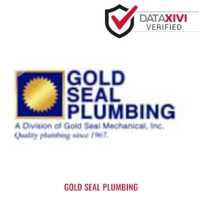Gold Seal Plumbing: Chimney Sweep Specialists in Manchester
