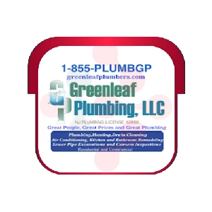 GREENLEAF PLUMBING LLC: Professional Clog Removal Services in Ferndale