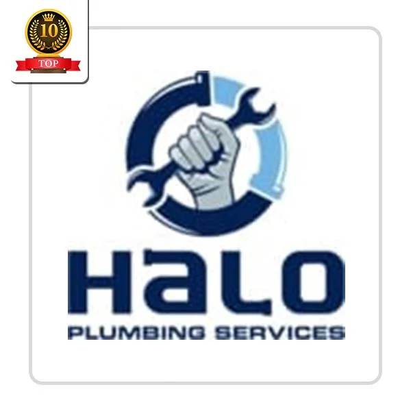 Halo Plumbing Services: Toilet Troubleshooting Services in McLeod
