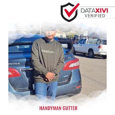 Handyman Gutter Plumber - DataXiVi