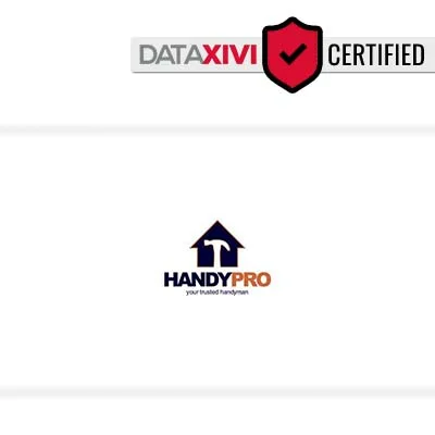 HandyPro Handyman Service Inc - DataXiVi