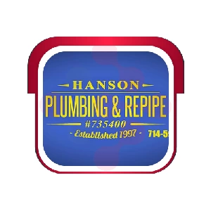 Hanson Plumbing & Repipe: Kitchen Drain Specialists in Bulverde
