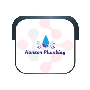 Hanson Plumbing - DataXiVi