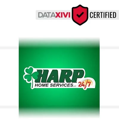 HARP Home Services LLC: Efficient High-Efficiency Toilet Setup in Vian