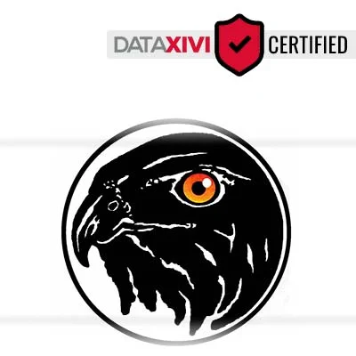 Hawk Eye Design LLC - DataXiVi