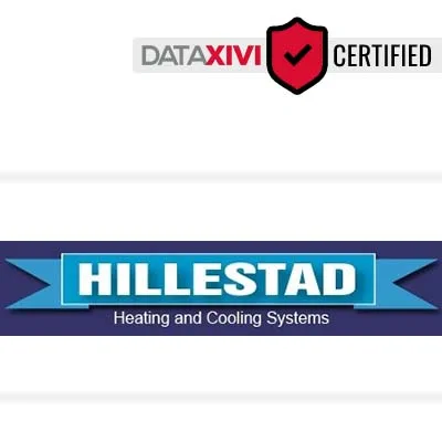 HILLESTAD HEATING AND COOLING SYSTEMS: Swift Pipeline Examination in Reno