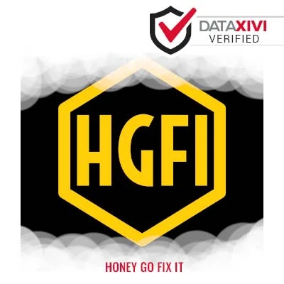 Honey Go Fix It - DataXiVi