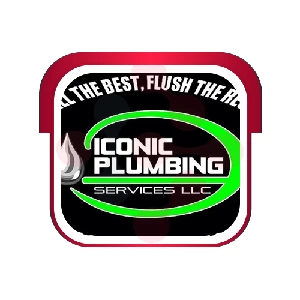 Iconic Plumbing Services LLC: HVAC Duct Cleaning Services in East Flat Rock
