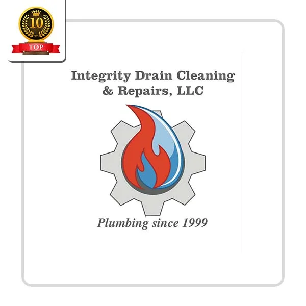 Integrity Drain Cleaning and Repair LLC: Chimney Repair Specialists in Gray