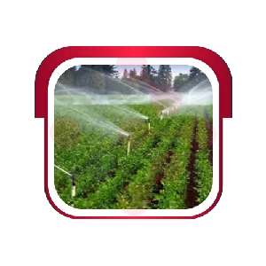 Irrigation Systems: Timely Sprinkler System Problem Solving in Pilot Point
