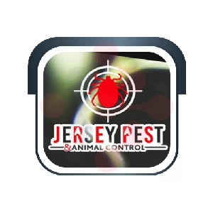 Jersey Pest And Animal Control: Swimming Pool Construction Services in Saint George