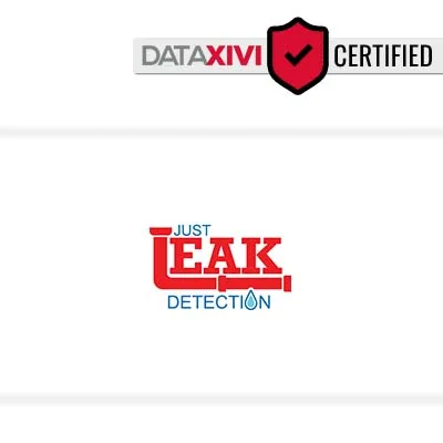 just leak detection: Handyman Solutions in Millville