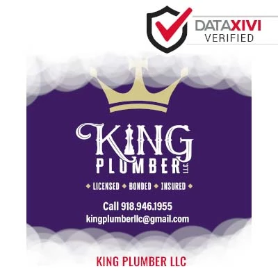 King Plumber LLC Plumber - DataXiVi