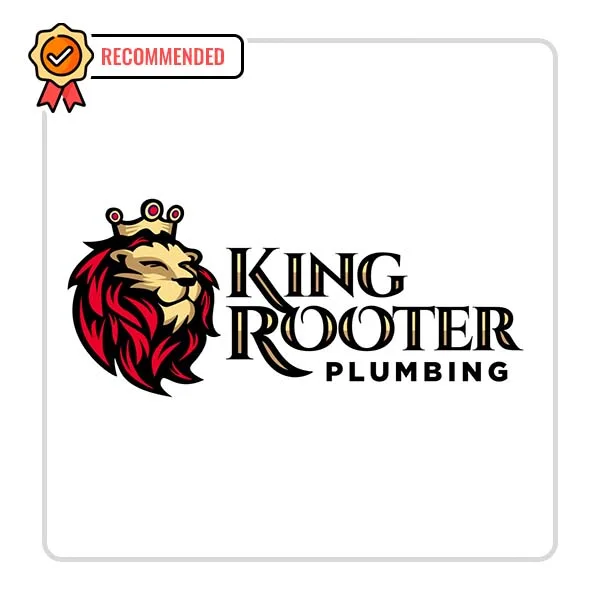 King Rooter & Plumbing: Lighting Fixture Repair Services in Wrens