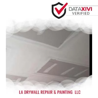 LA Drywall Repair & Painting  LLC: Timely Toilet Problem Solving in Baileyton