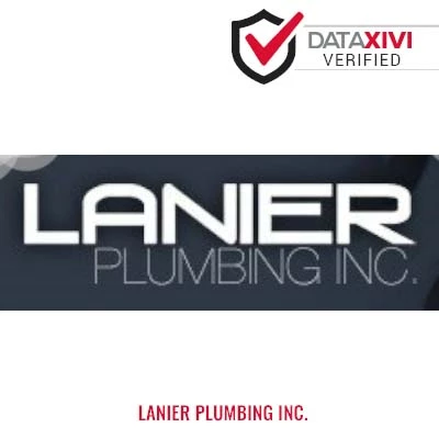 Lanier Plumbing Inc.: Septic System Maintenance Services in Womelsdorf