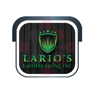 Lario’s Landscaping Inc: Expert Bathroom Drain Cleaning in Yukon