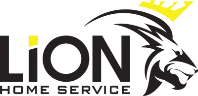 Lion Home Service - DataXiVi