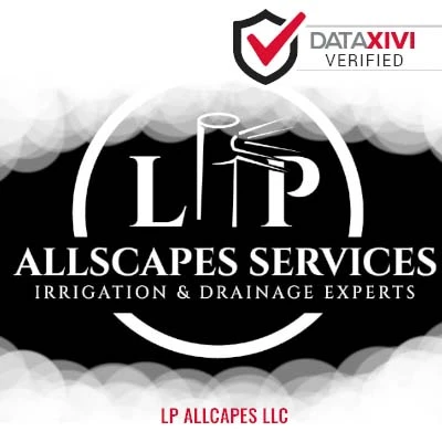LP Allcapes llc: Emergency Plumbing Contractors in Saunemin