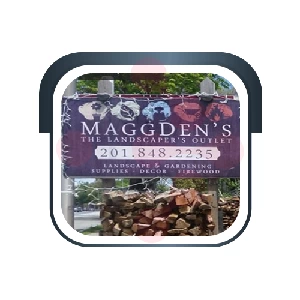 Maggdens: Professional Septic System Setup in Ellerbe