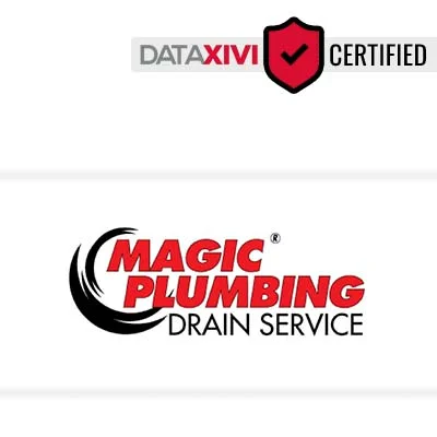 Magic Plumbing: Toilet Fitting and Setup in Litchville