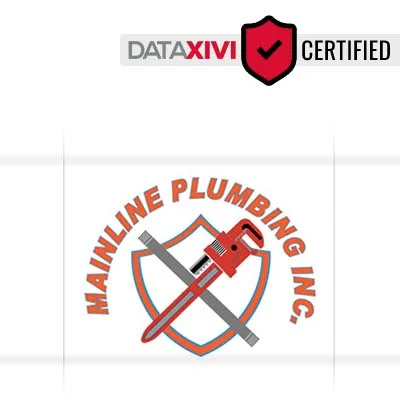 Mainline Plumbing Inc.: Washing Machine Fixing Solutions in Cedar Grove