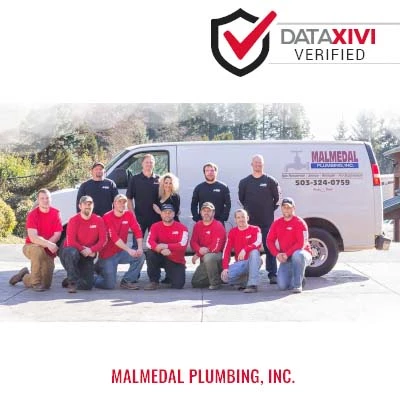 Malmedal Plumbing, Inc. - DataXiVi