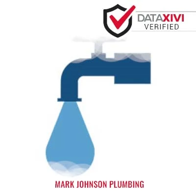 Mark Johnson Plumbing: Efficient Water Filtration Repair in Alba