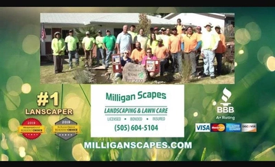Milligan Scapes, LLC: Sink Fixture Setup in Success