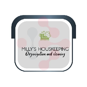 Milly’s Houskeeping - DataXiVi