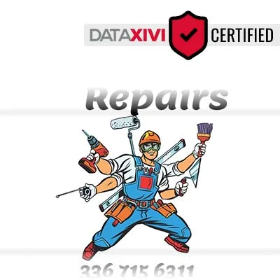 Minor Repairs - DataXiVi