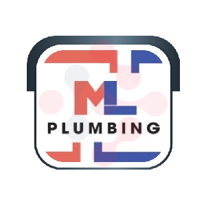 ML Plumbing: Swift Dishwasher Fixing Services in Matthews