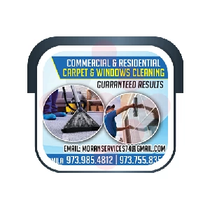 Moran Cleaning Services Llc: Roof Repair and Installation Services in Hallsville