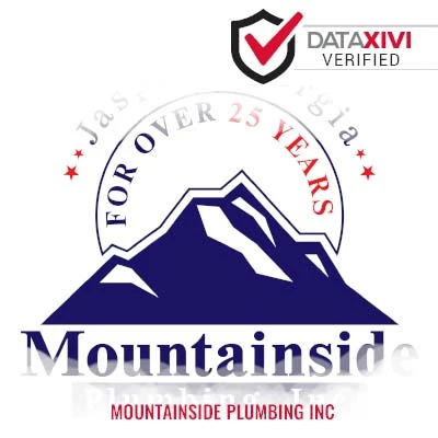 Mountainside Plumbing Inc: Septic Cleaning and Servicing in Ludowici