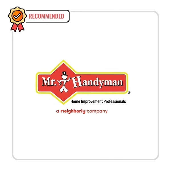 Mr. Handyman Metro East - DataXiVi