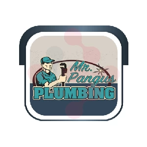 Mr. Pangus Plumbing: Swift Sink Fitting in New Florence