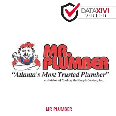 Mr Plumber: Gutter Clearing Solutions in Red Devil